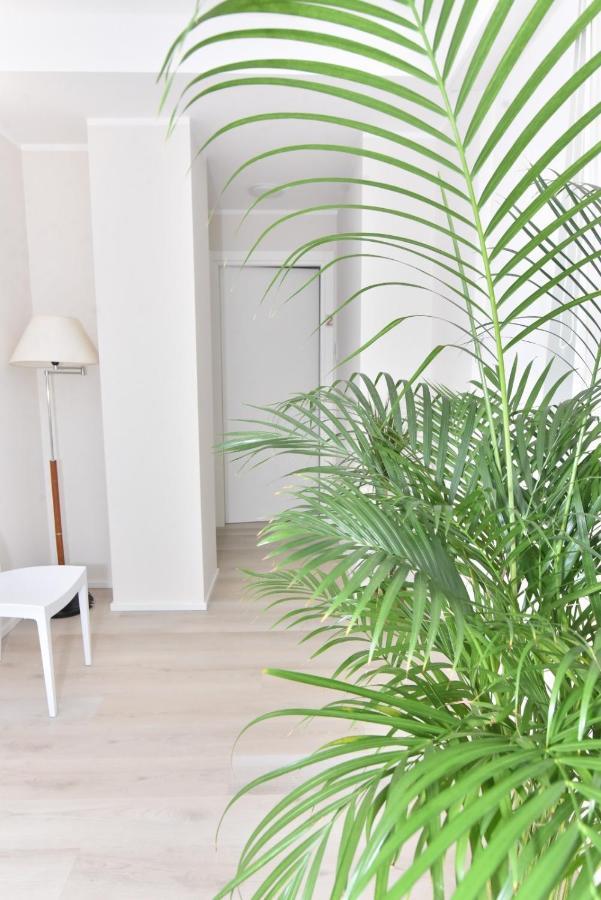 Antiche Conce Rooms ساساري المظهر الخارجي الصورة
